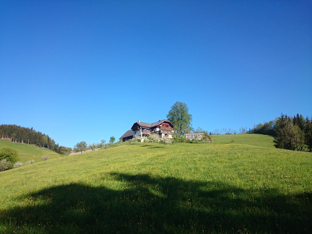 Bio-Bauernhof Kurzeck Villa เกิสต์ลิง อัน แดร์อิบส์ ภายนอก รูปภาพ