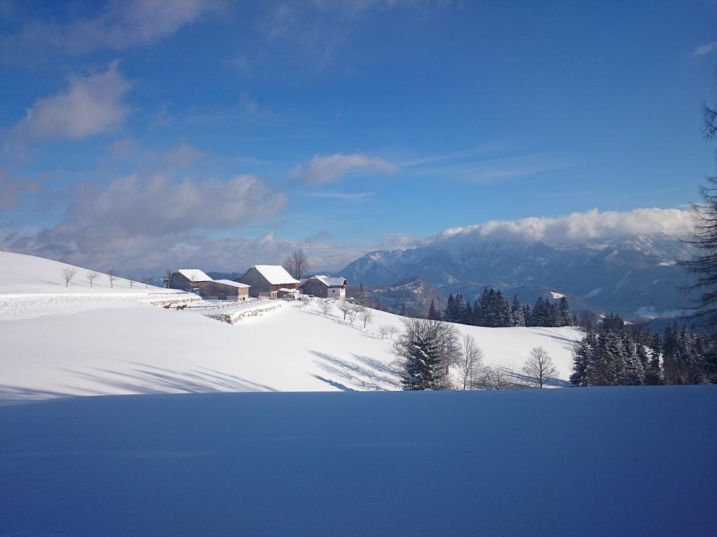 Bio-Bauernhof Kurzeck Villa เกิสต์ลิง อัน แดร์อิบส์ ภายนอก รูปภาพ