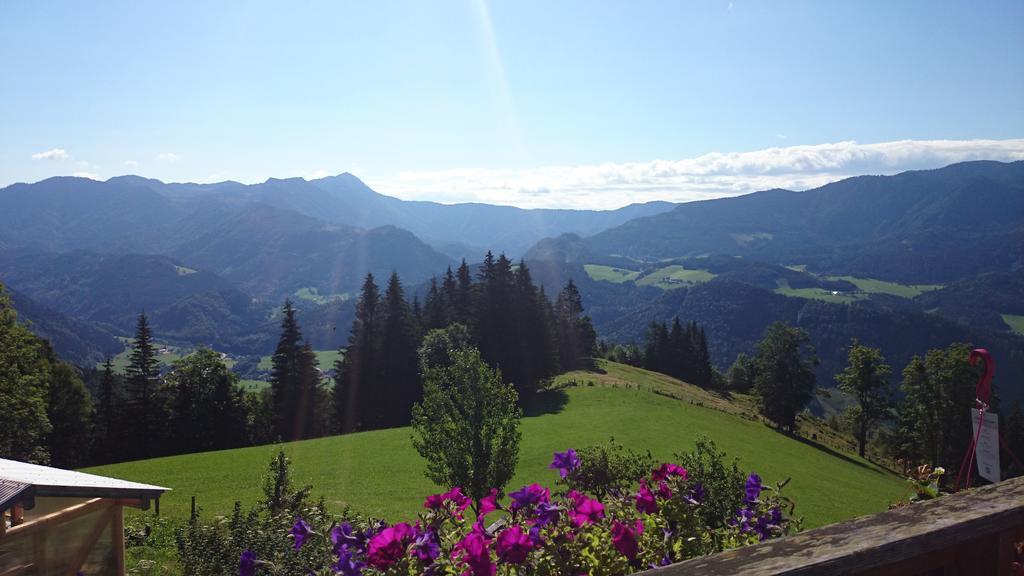 Bio-Bauernhof Kurzeck Villa เกิสต์ลิง อัน แดร์อิบส์ ภายนอก รูปภาพ
